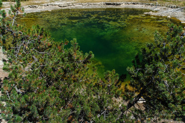 Leather Pool in Yellowstone National Park in Wyoming, United States