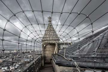 Parigi, francia, TourEiffel, Notre Dame, viaggio, 