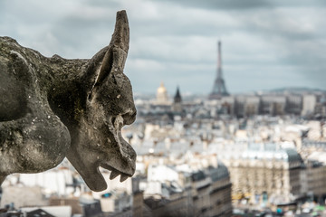 Parigi, francia, TourEiffel, Notre Dame, viaggio, 