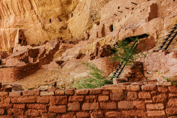 Long House in Mesa Verde National Park in Colorado, United States