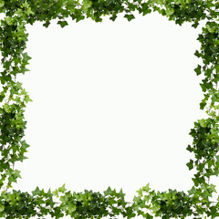Fototapeta na wymiar frame of green leaves background
