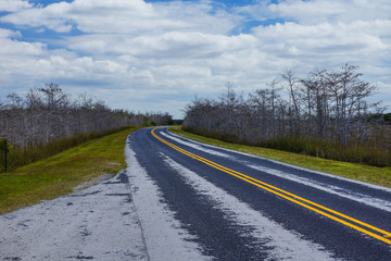 Fototapeta premium Main Park Road in Everglades National Park in Florida, United States