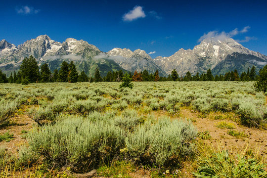 Mountain View Turnout in Grand Teton National Park in Wyoming, United States