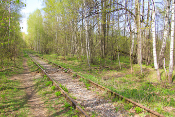 old railway in the forest