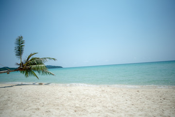 Obraz na płótnie Canvas tropical beach at Koh Kood island, Thailand