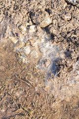 Spring flood carries the snow and turns into a puddle outside the city
