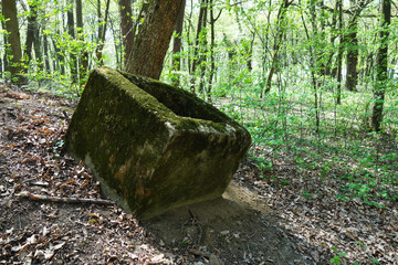 Obraz premium Overgrown concrete block in the forest
