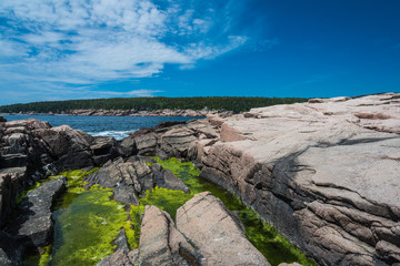 Fototapeta na wymiar Otter Point in Acadia National Park in Maine, United States