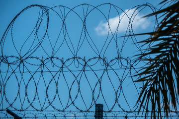 Barbwire fence at the Mexican Border - travel photography