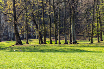 Bednarski Park in Krakow