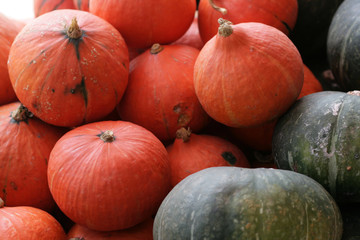 pumpkins for sale at farmers market