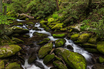 Naklejka na ściany i meble Roaring Fork in Great Smoky Mountains National Park in Tennessee, United States