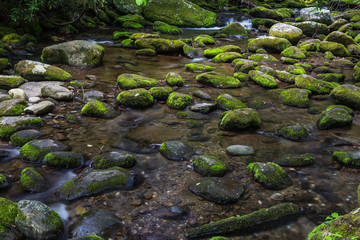 Roaring Fork in Great Smoky Mountains National Park in Tennessee, United States