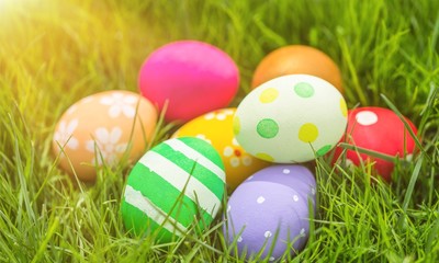 Easter colorful eggs on green grass