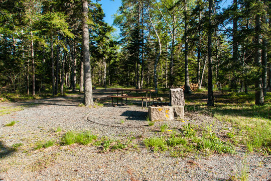 Seawall Campground in Acadia National Park in Maine, United States