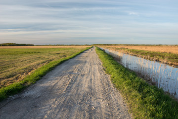 Straight gravel road through a meadow and water channel
