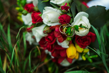 wedding rings on a background of flowers