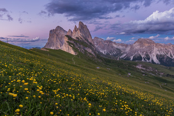 Fototapeta na wymiar Stunning view of Dolomite mountain and wildflower field in summer at Seceda peak, Italy.