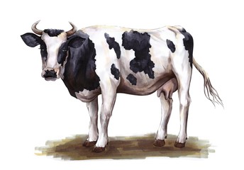 Obraz na płótnie Canvas drawing of a buffalo standing on the ground