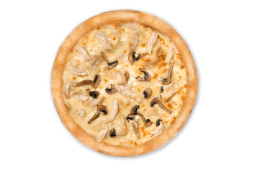 Delicious pizza with chicken, parmesan, tomatoes, mushrooms isolated for menu, top view