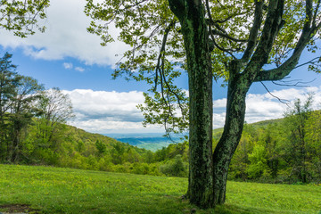 South River Overlook in Shenandoah National Park in Virginia, United States