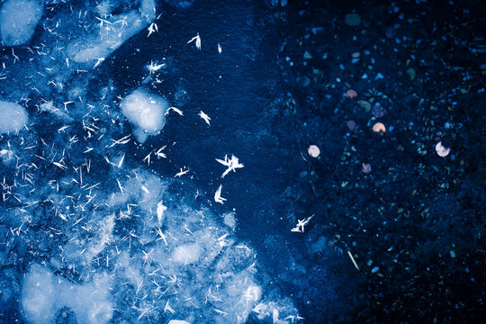 FLOCONS DE NEIGE SUR L'EAU