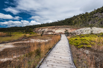 Obraz premium Sulphur Banks Trail in Hawaii Volcanoes National Park in Hawaii, United States