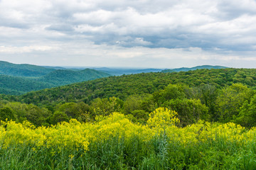 Fototapeta na wymiar Thornton Hollow Overlook in Shenandoah National Park in Virginia, United States