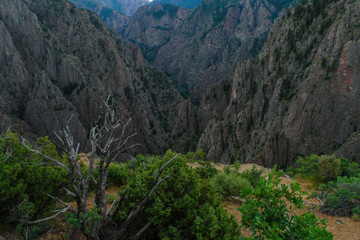Fototapeta na wymiar Tomichi Point in Black Canyon of the Gunnison National Park in Colorado, United States