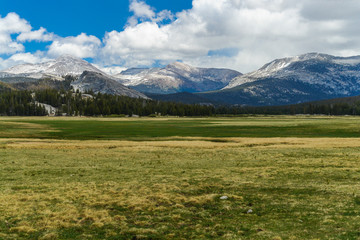 Obraz premium Tuolumne Meadows w Parku Narodowym Yosemite w Kalifornii, Stany Zjednoczone