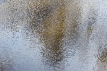 Reflection view in a small and dirty pond.