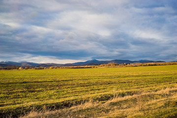Obraz premium Field at sunset. Beautiful sky and field in the rays of the sunset sun. 