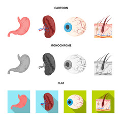 Vector illustration of body and human symbol. Set of body and medical stock vector illustration.
