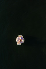 woman floating in ocean