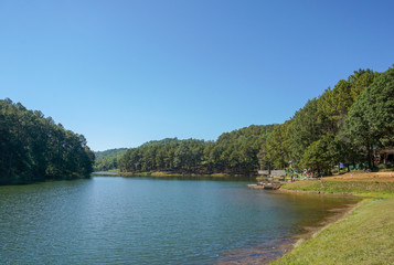 Fototapeta na wymiar View of pine forest and lake in pang oung ,maehongson, Thailand