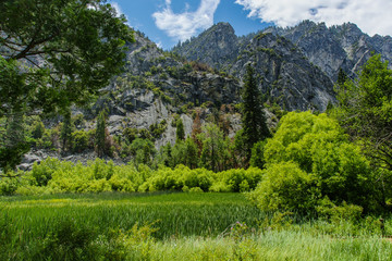 Zumwalt Meadow in Kings Canyon National Park in California, United States