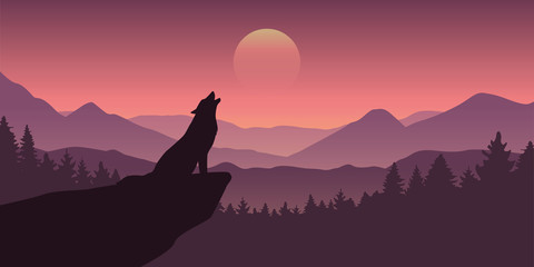 wolf howls at full moon purple wildlife nature landscape vector illustration EPS10