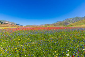 Plans Castelluccio in Italy