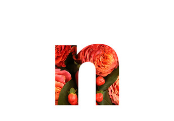 Floral font letter N from a real red-orange rose for bright design. Stylish font of flowers for conceptual ideas.