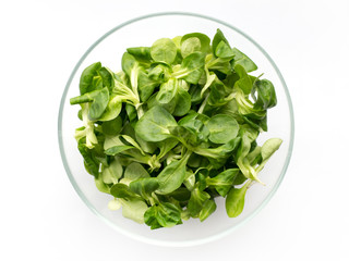 Fresh green Corn salad leaves or lamb's lettuce in bowl. Top view, lamb's lettuce isolated on white background