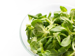 Fresh green Corn salad leaves or lamb's lettuce in bowl. Top view, lamb's lettuce isolated on white background