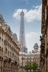 Fototapeta na wymiar view on the Eiffel Tower in Paris