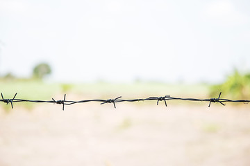 Old rusty security barbed wire fence isolated on green nature for background texture. Old rusty security barbed wire fence isolated on green for background texture