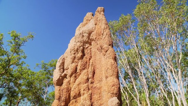 Rotation view of the top of a tall reddish brown termite house, vibrant blue sky backdrop.