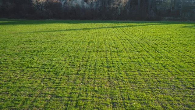 Aerial view of green field and mountain slopes against blue sky in summer. Footage. Beautiful summer landscape