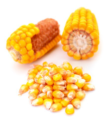 Ripe corn isolated.