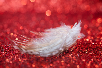 Decorative gray feather on a red background with sparkles. Minimalistic macro image is suitable as a background.