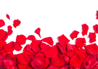 Whire background with red rose petals