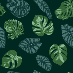 Vector Tropic Seamless Pattern. Philodendron and Alocasia Leaves. Hand Drawn Jungle Foliage in Watercolor Style. Exotic Background. Seamless Tropic Leaf for Textile, Cloth, Fabric, Decoration, Paper.