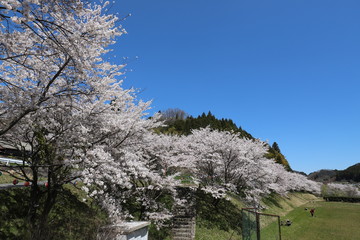 榛原ふれあい広場